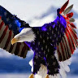 Meet your Posher, Todd